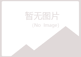 伊春南岔山柳机械有限公司